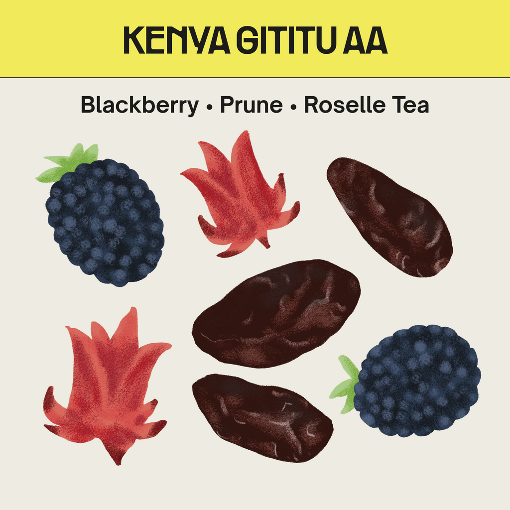 Kenya Gititu AA 150g