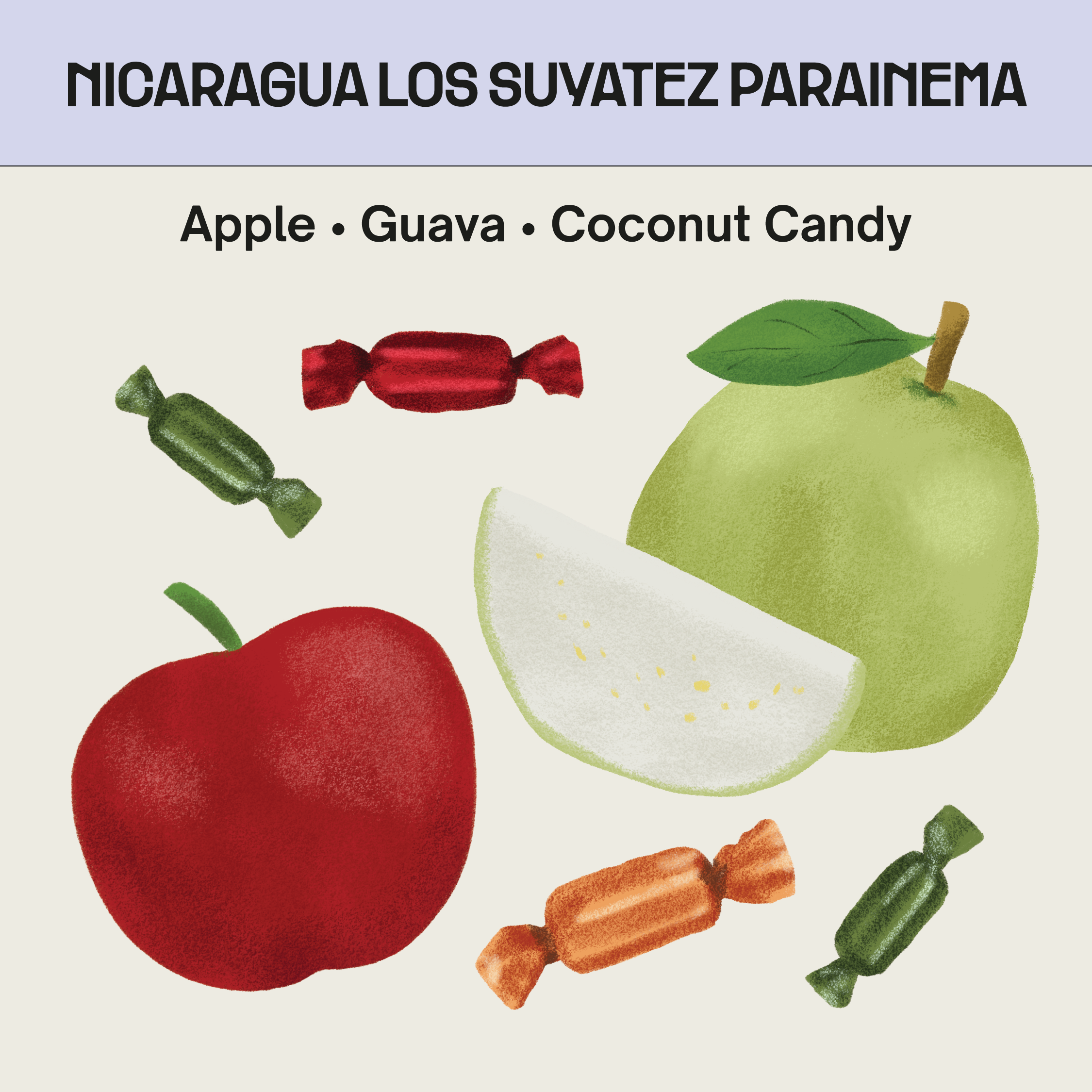 Nicaragua Los Suyatez Parainema 150g