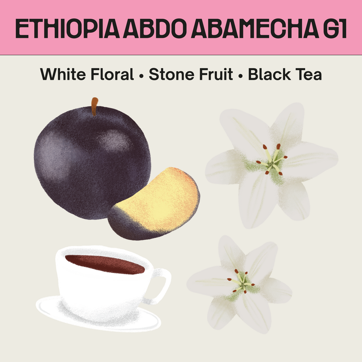 Ethiopia Abdo Abamecha G1 Badeyi Lot 11