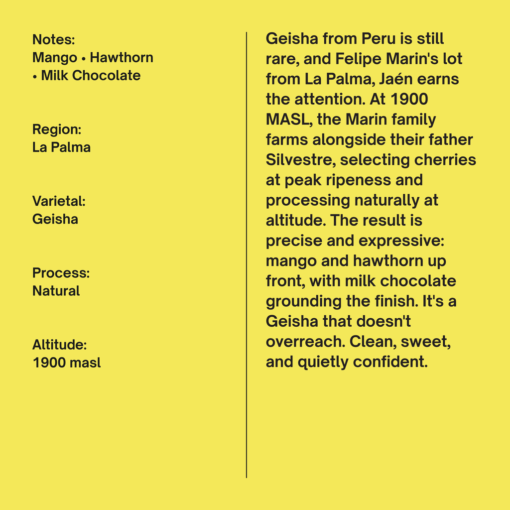 Peru Felipe Marin Mirez Geisha Natural La Palma
