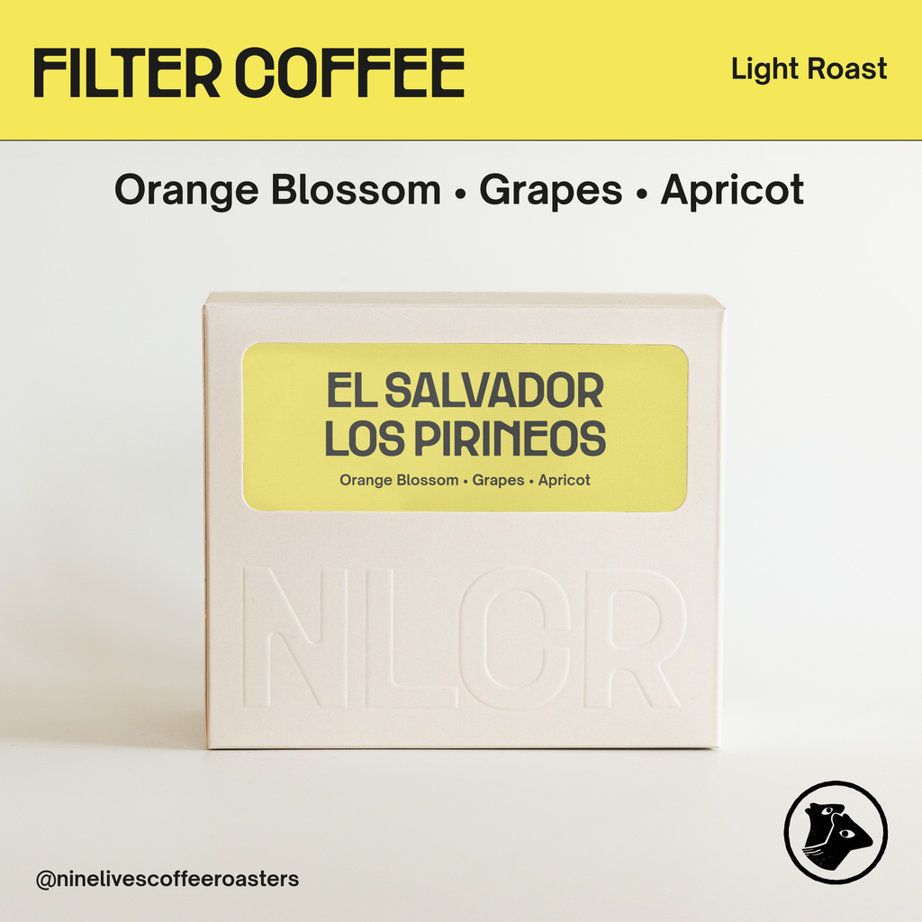 El Salvador Los Pirineos Orange Pacamara Washed