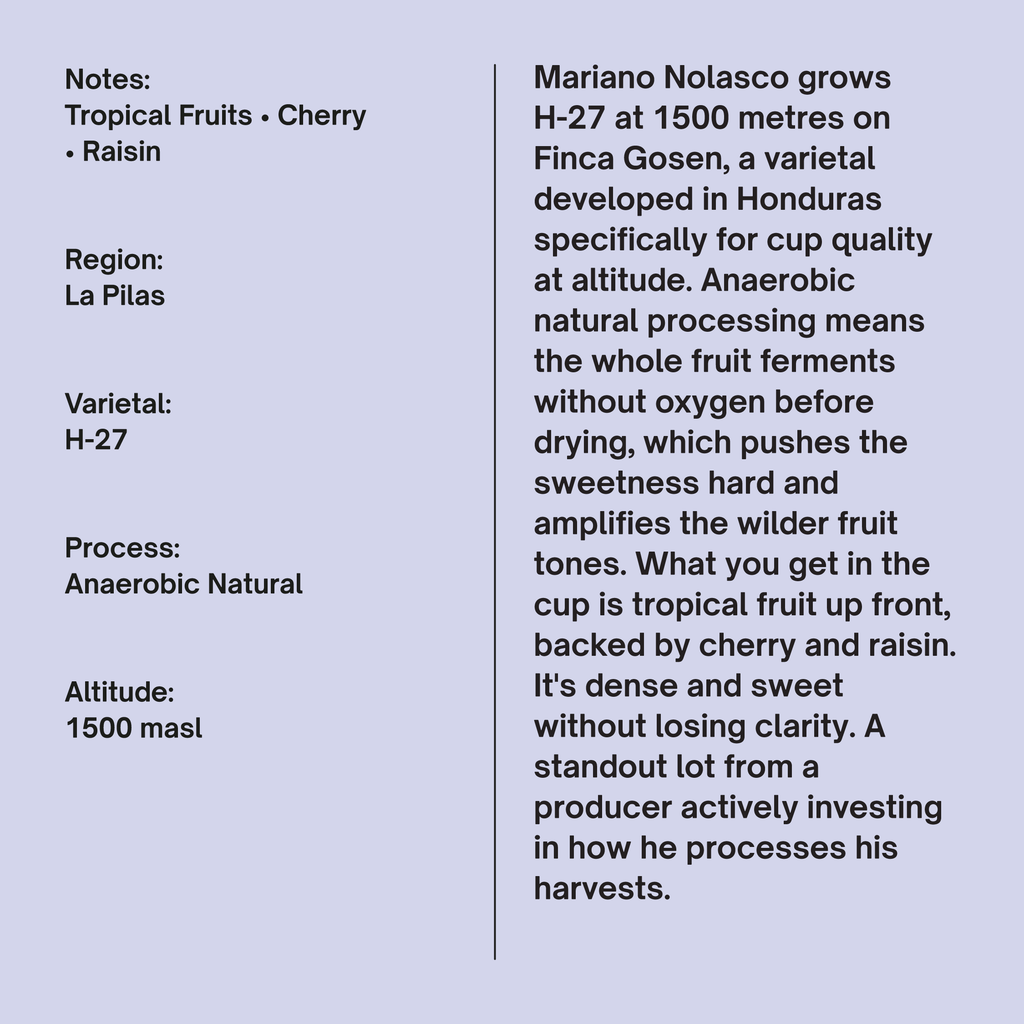 Honduras Finca Gosen H-27 Anaerobic Natural