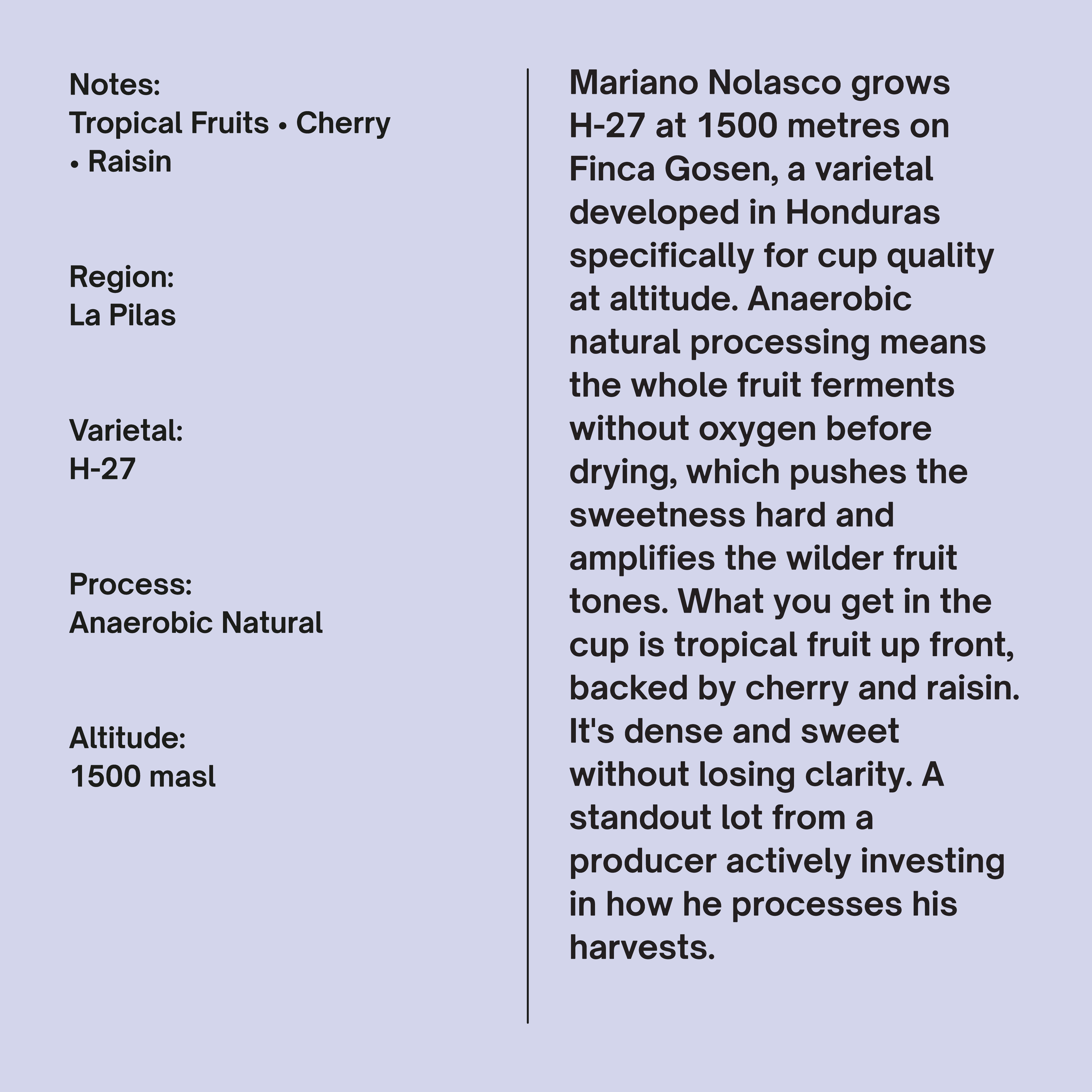 Honduras Finca Gosen H-27 Anaerobic Natural