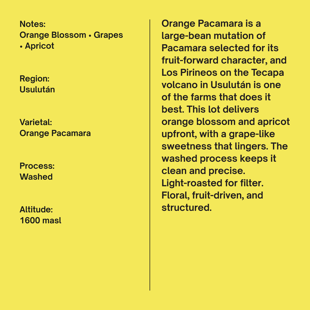 El Salvador Los Pirineos Orange Pacamara Washed