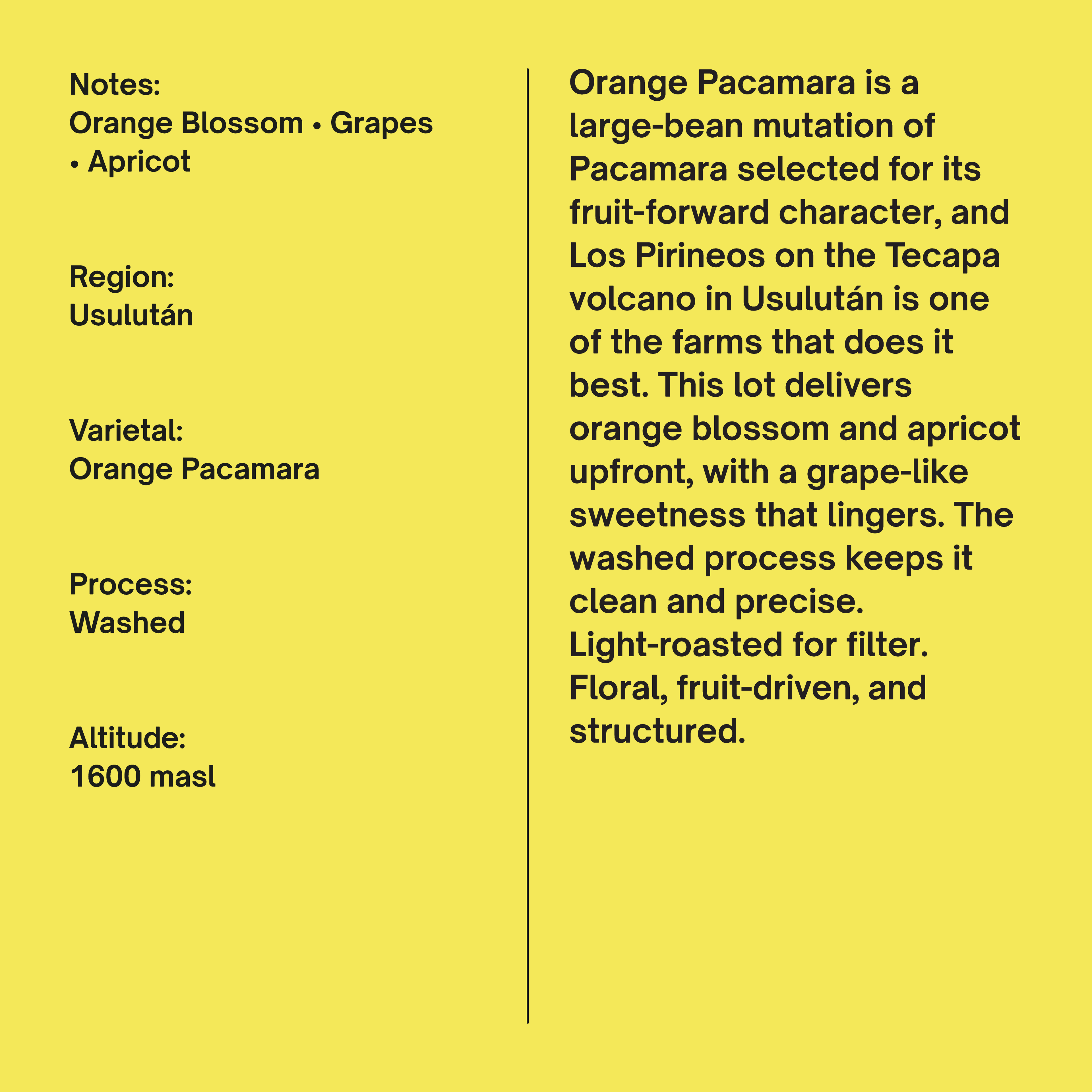 El Salvador Los Pirineos Orange Pacamara Washed