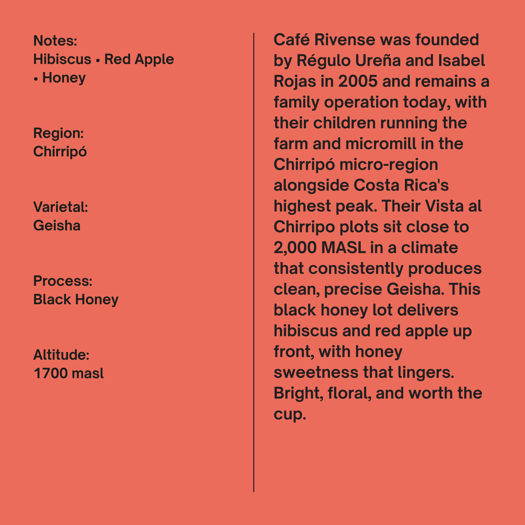 Costa Rica Rivense Chirripo Black Honey Geisha