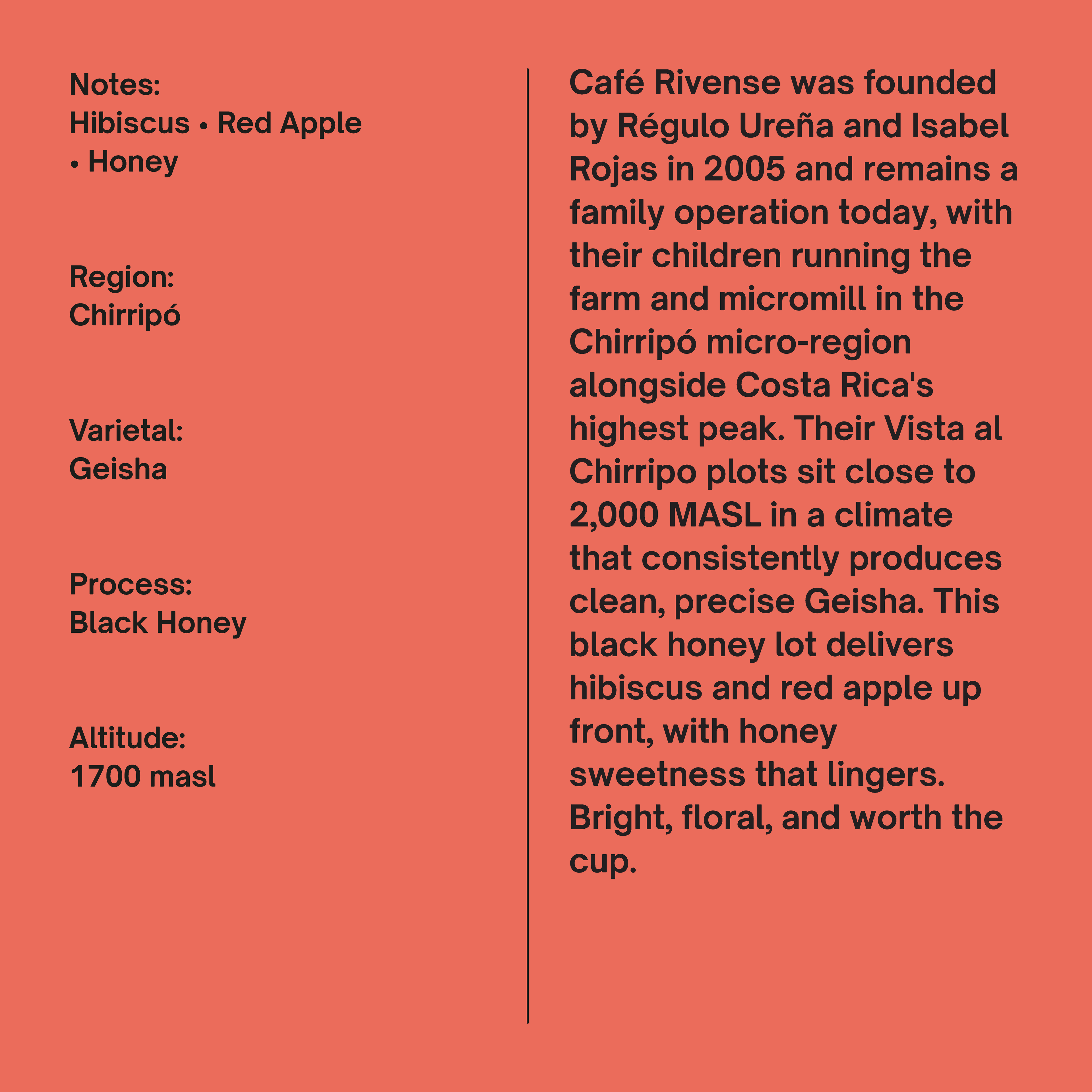 Costa Rica Rivense Chirripo Black Honey Geisha
