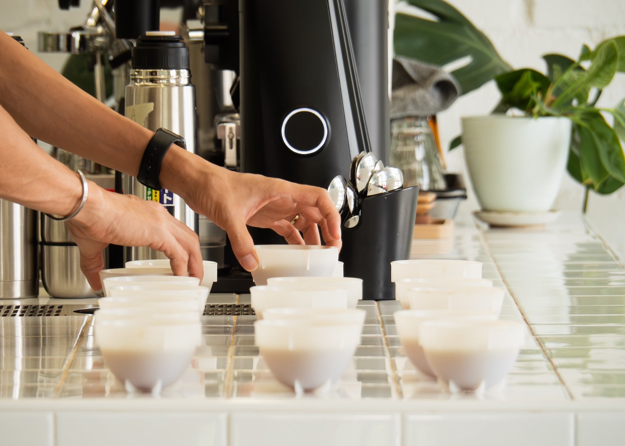 Barista preparing for cupping session in Nine Lives Coffee Roasters, a specialty coffee roastery in Georgetown, Penang